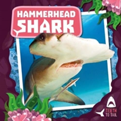 Bertrand.pt - Hammerhead Shark