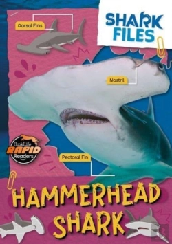 Bertrand.pt - Hammerhead Shark