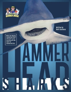 Bertrand.pt - Hammerhead Sharks