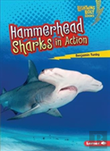 Hammerhead Sharks In Action