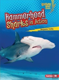 Bertrand.pt - Hammerhead Sharks In Action