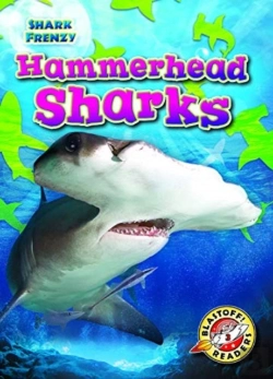Bertrand.pt - Hammerhead Sharks