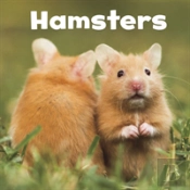 Hamsters