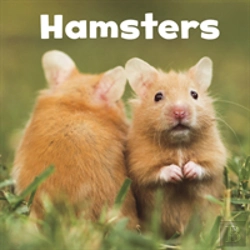 Bertrand.pt - Hamsters