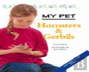 Hamsters And Gerbils