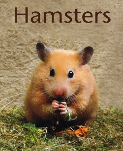 Bertrand.pt - Hamsters
