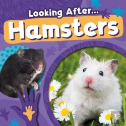 Bertrand.pt - Hamsters