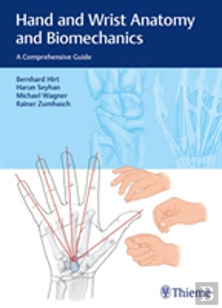 Bertrand.pt - Hand And Wrist Anatomy And Biomechanics
