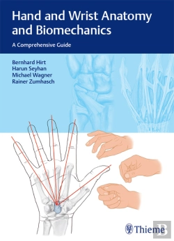 Bertrand.pt - Hand And Wrist Anatomy And Biomechanics