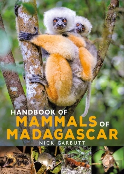 Bertrand.pt - Handbook Of Mammals Of Madagascar