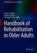 Handbook Of Rehabilitation In Older Adults
