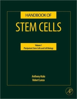 Bertrand.pt - Handbook Of Stem Cells