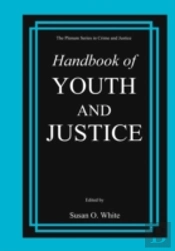Handbook Of Youth And Justice