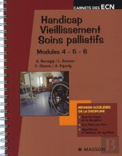 Handicap, Vieillissement, Soins Palliatifs