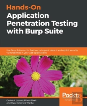 Hands-On Application Penetration Testing With Burp Suite
