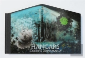 Hangars