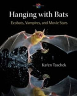 Bertrand.pt - Hanging With Bats