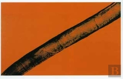 Bertrand.pt - Hans Hartung. Esencial