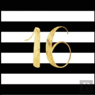 Happy 16th Birthday Guest Book (Hardcover)