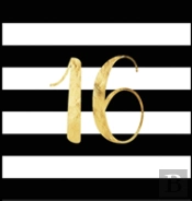 Happy 16th Birthday Guest Book (Hardcover)