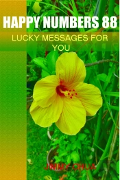 Happy Numbers 88 - Lucky Messages For You