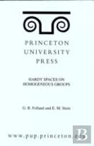 Hardy Spaces On Homogeneous Groups