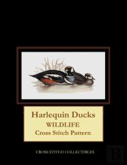 Harlequin Ducks