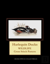 Harlequin Ducks