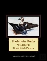 Harlequin Ducks