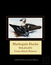 Harlequin Ducks