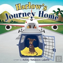 Bertrand.pt - Harlow'S Journey Home