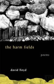 Harm Fields