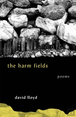 Bertrand.pt - Harm Fields