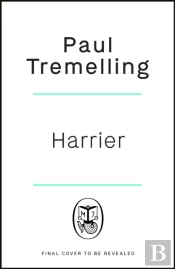 Harrier: How To Be A Fighter Pilot