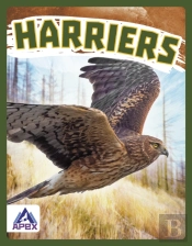 Harriers