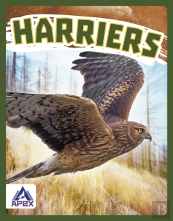 Bertrand.pt - Harriers
