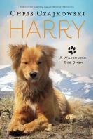 Harry