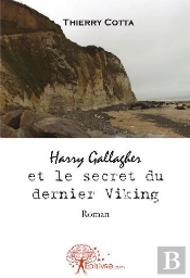 Harry Gallagher Et Le Secret Du Dernier Viking