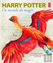 Harry Potter - Histoire De La Magie