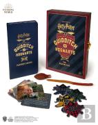 Harry Potter Quidditch At Hogwarts