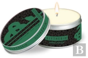 Harry Potter Slytherin Scented Tin Candle