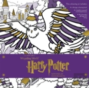 Harry Potter: Winter At Hogwarts: A Magical Colouring Set