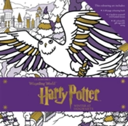 Bertrand.pt - Harry Potter: Winter At Hogwarts: A Magical Colouring Set