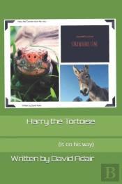 Harry The Tortoise