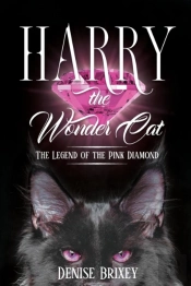 Harry The Wonder Cat