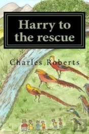 Harry To The Rescue