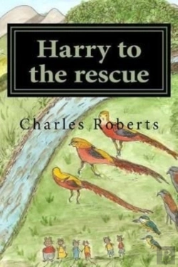 Bertrand.pt - Harry To The Rescue