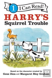 Harry'S Squirrel Trouble