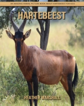 Hartebeest