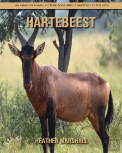 Bertrand.pt - Hartebeest